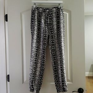 Express Python Joggers